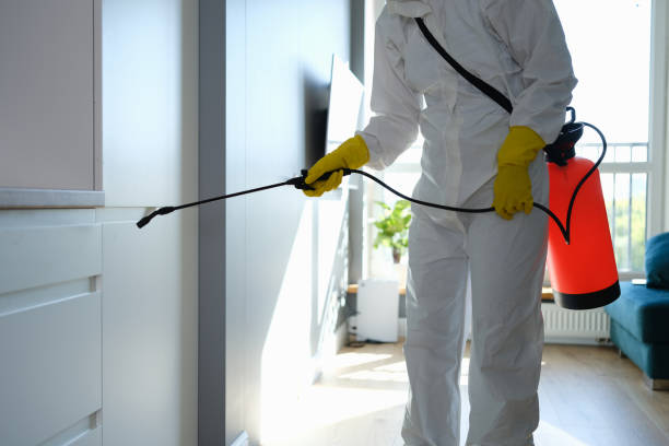 Best Post-Remediation Services in Pepperdine University, CA