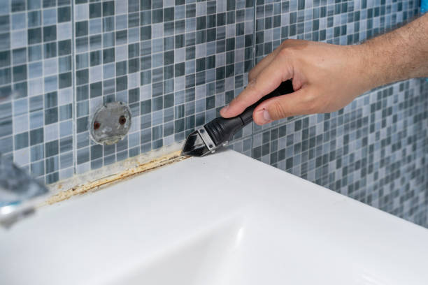 Best Residential Mold Remediation in Pepperdine University, CA